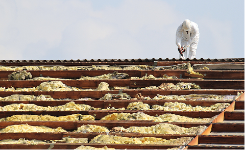 Insulation Remediation