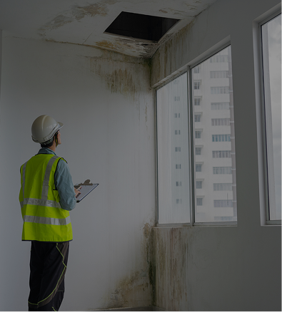 Indoor air quality testing