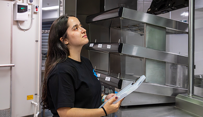 System assessment and inspection